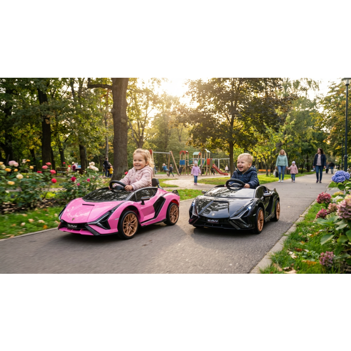 Elektrische Kinderauto Lamborghini Sian Zwart Metallic 4X4 12Volt Vleugeldeuren