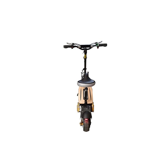 Elektrische Step 48Volt 1600W Zwart