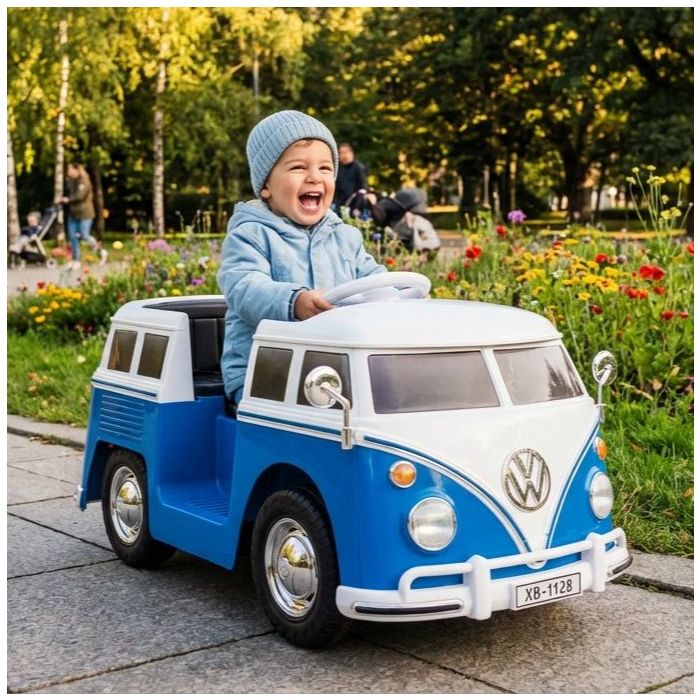 Accu Auto Volkswagen T-1 busje 12V Blauw