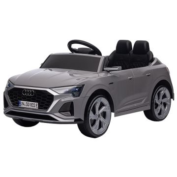 Accu Auto AUDI SQ8 E-Tron Grijs 12 Volt