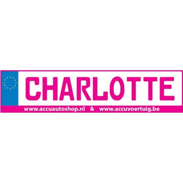 Kenteken stickerset PINK op eigen naam & rijbewijs