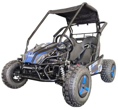 Elektrische Buggy Gobi Blauw 2 persoons 60V 2000W