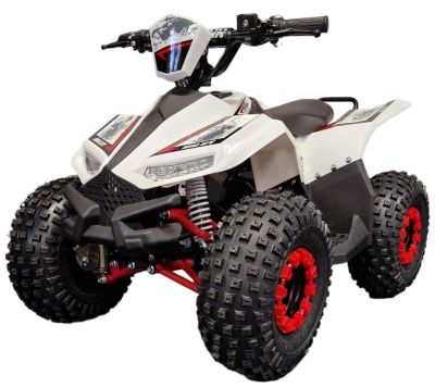 Elektrische kinderquad Midi Typhoon Rood 1200W 48V Brushless LCD-Scherm
