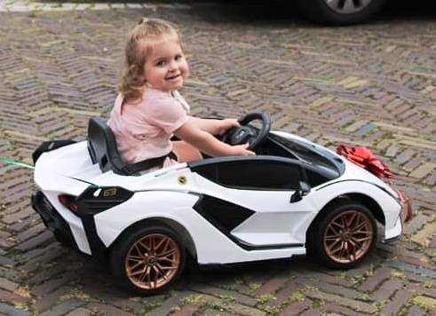 Tevreden chauffeurtje