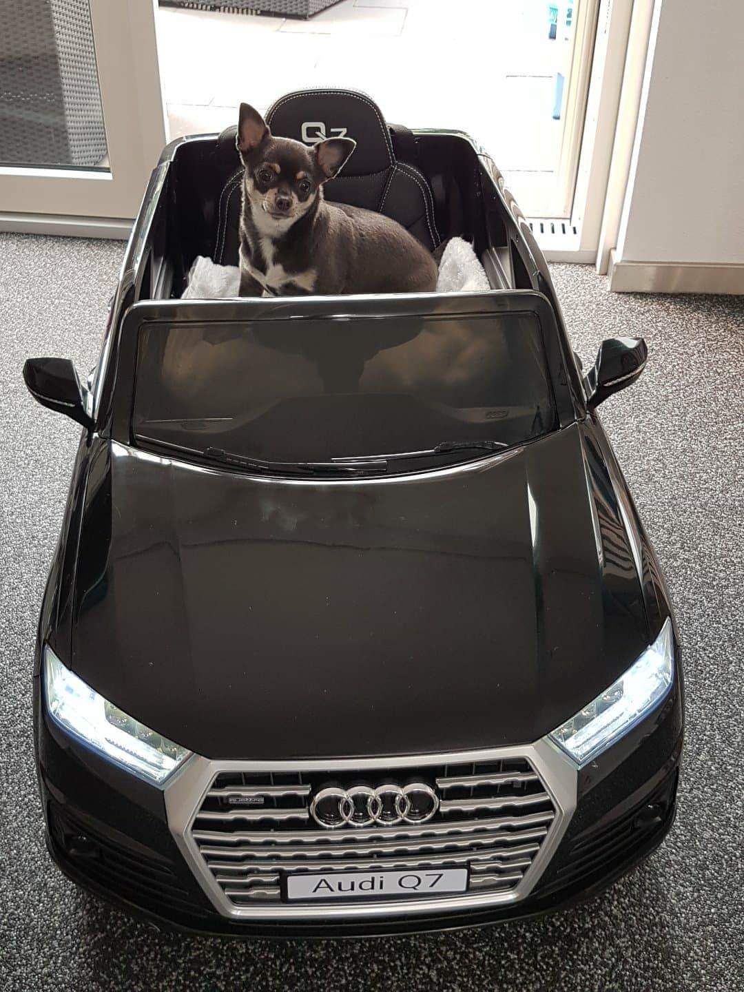 Tevreden chauffeurtje