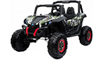 buggy
